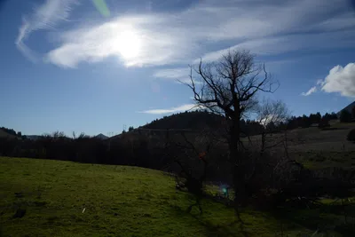 DSC_1067 (Large).JPG